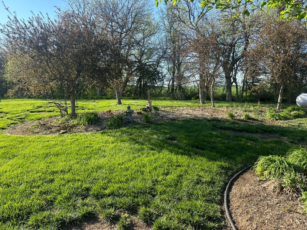 Greener Pastures: Transforming Landscapes with Graf Lawn Care